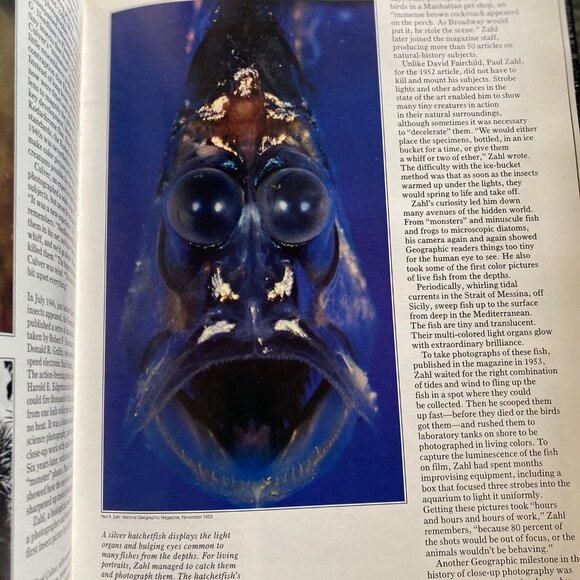 93- (VB) Vintage. Book. Collectible. Photography. National Geographic.1981. - Picture 12 of 14